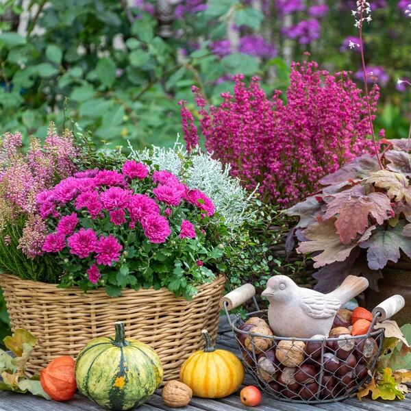 L'automne est flamboyant chez Jenny Fleurs 🍁