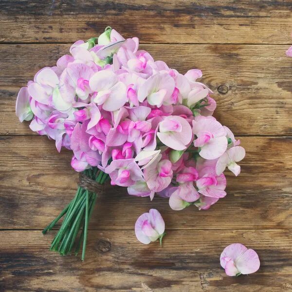 Découvrez les fleurs au parfum de printemps