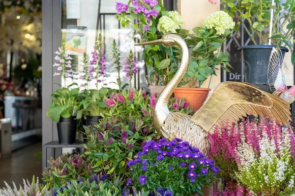 Embellissez vos entreprises et vos commerces 🌺