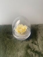 Rose éternelle jaune