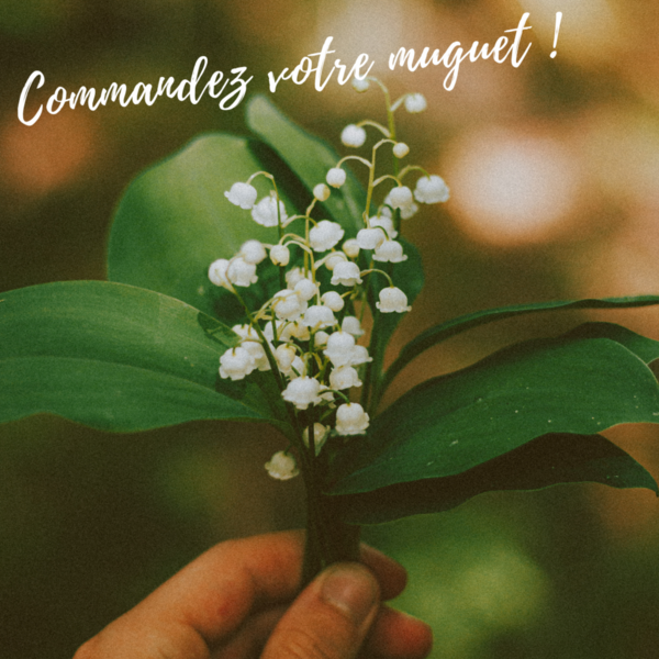 1er mai : le muguet porte-bonheur