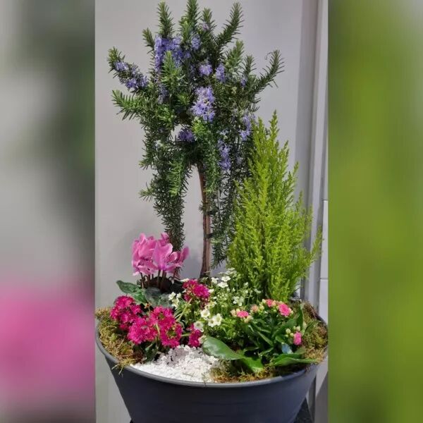 Coupe de plantes