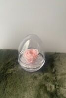 Rose éternelle rose pâle