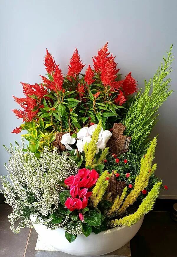 Composition - coupe de Fleurs 